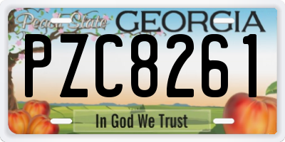 GA license plate PZC8261