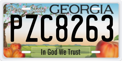 GA license plate PZC8263
