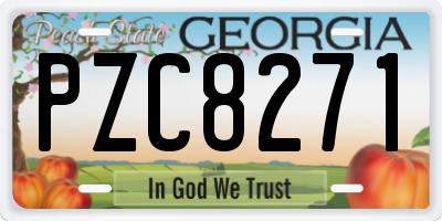 GA license plate PZC8271