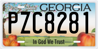 GA license plate PZC8281