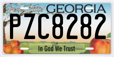 GA license plate PZC8282