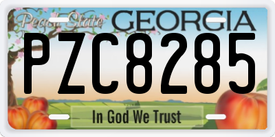 GA license plate PZC8285
