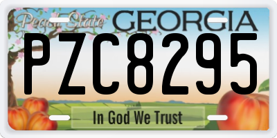 GA license plate PZC8295