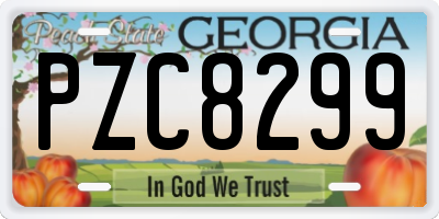 GA license plate PZC8299