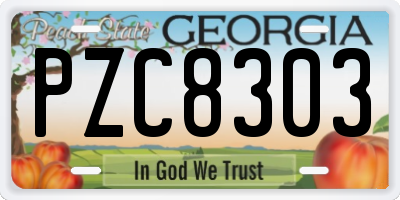 GA license plate PZC8303