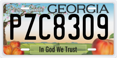 GA license plate PZC8309