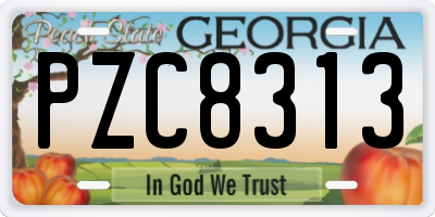 GA license plate PZC8313