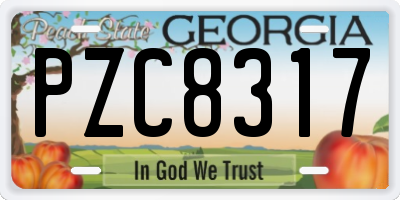 GA license plate PZC8317