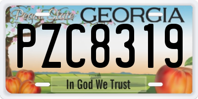GA license plate PZC8319