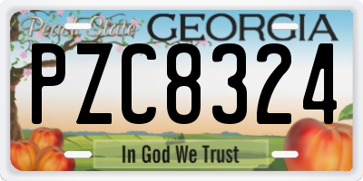 GA license plate PZC8324