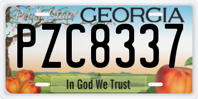 GA license plate PZC8337