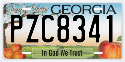 GA license plate PZC8341