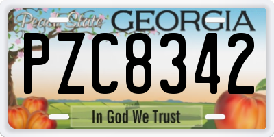 GA license plate PZC8342
