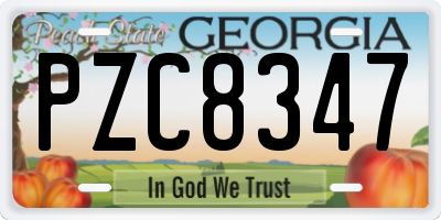 GA license plate PZC8347