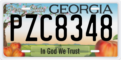 GA license plate PZC8348