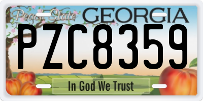 GA license plate PZC8359