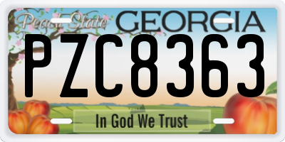 GA license plate PZC8363
