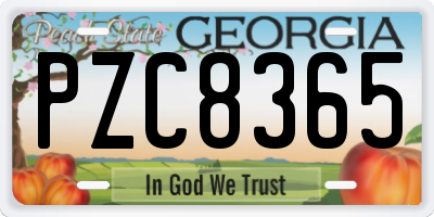 GA license plate PZC8365