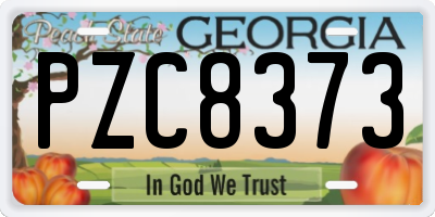 GA license plate PZC8373