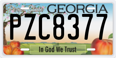 GA license plate PZC8377