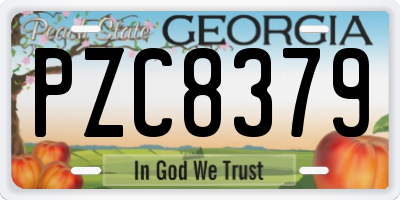 GA license plate PZC8379