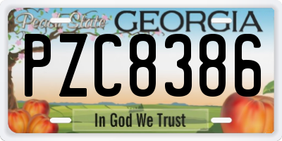 GA license plate PZC8386
