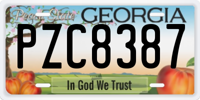 GA license plate PZC8387