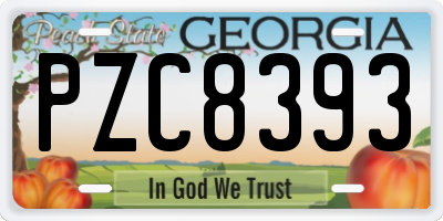 GA license plate PZC8393