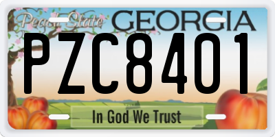 GA license plate PZC8401