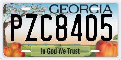 GA license plate PZC8405