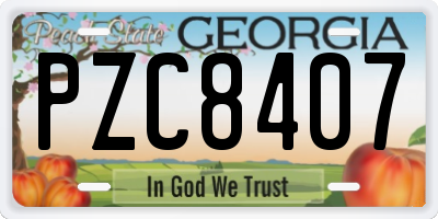 GA license plate PZC8407