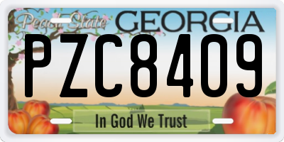 GA license plate PZC8409