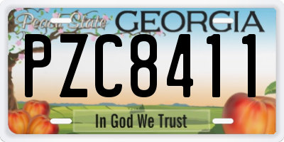 GA license plate PZC8411