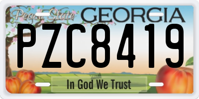 GA license plate PZC8419
