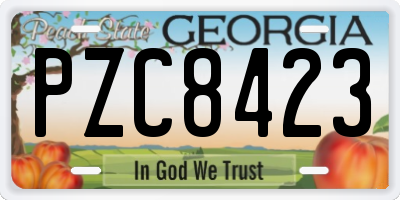 GA license plate PZC8423