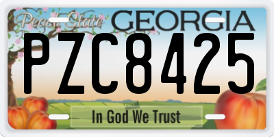 GA license plate PZC8425