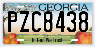 GA license plate PZC8438