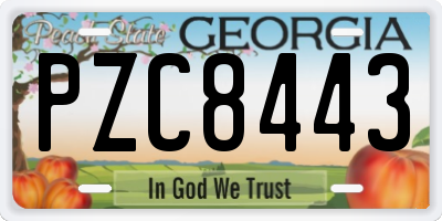 GA license plate PZC8443