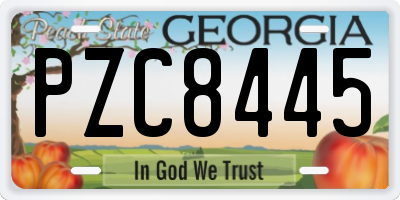 GA license plate PZC8445