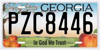 GA license plate PZC8446
