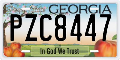 GA license plate PZC8447