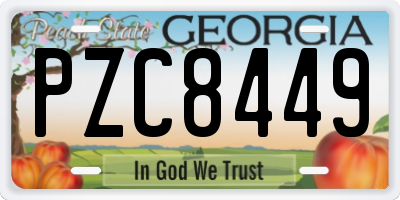 GA license plate PZC8449