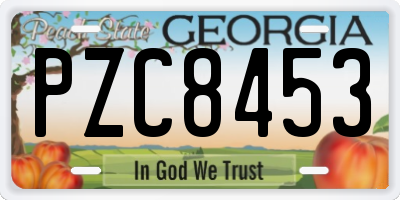 GA license plate PZC8453