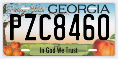 GA license plate PZC8460