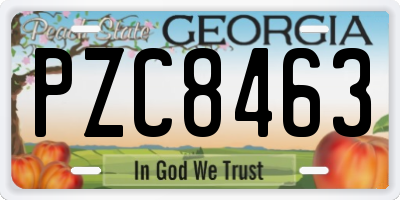 GA license plate PZC8463