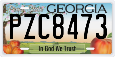 GA license plate PZC8473