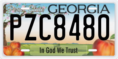 GA license plate PZC8480