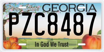 GA license plate PZC8487
