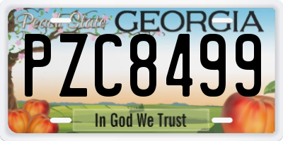 GA license plate PZC8499