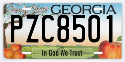 GA license plate PZC8501